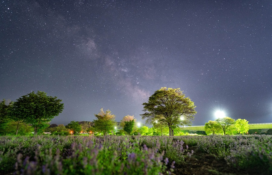 Night View