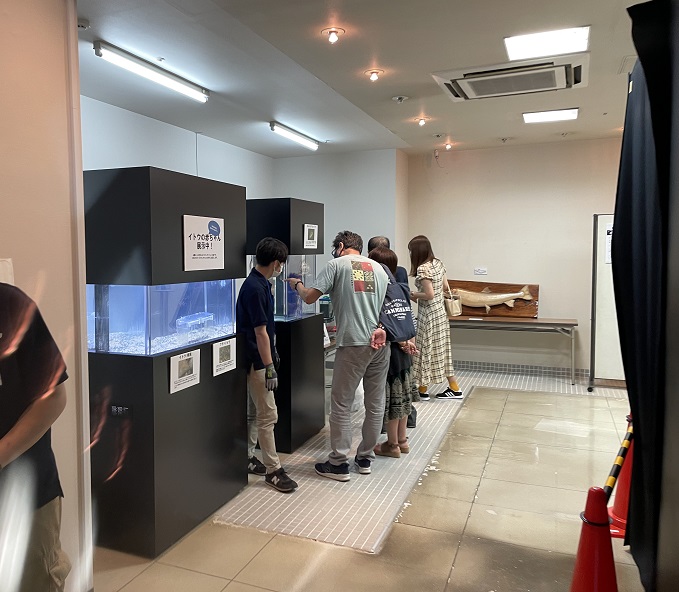 ドクターフィッシュ体験もできますよ