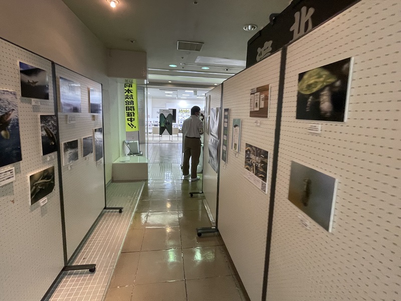 写真パネル展示の様子