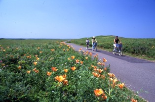 ワッカ原生花園