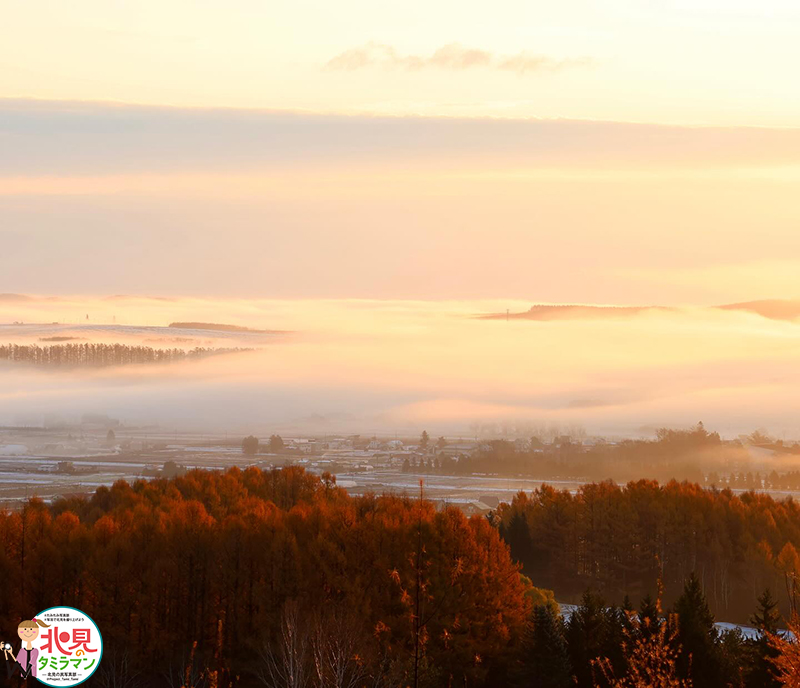 景観部門入選作品