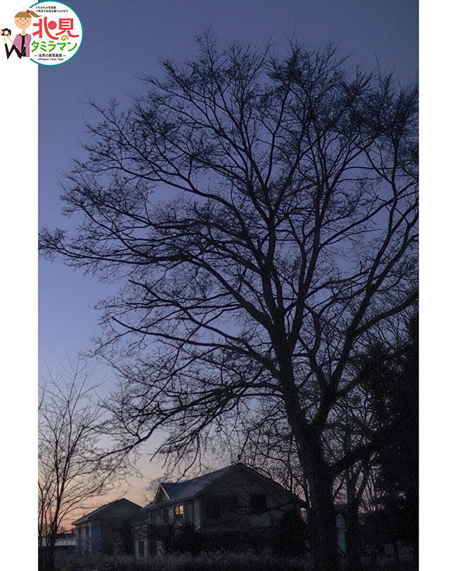 景観部門入選作品