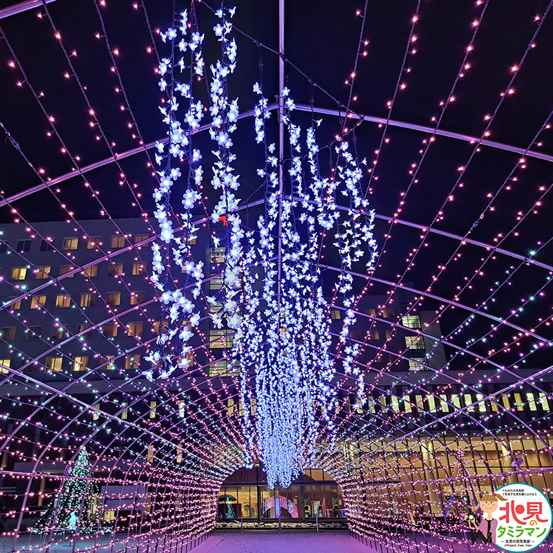 景観部門入選作品