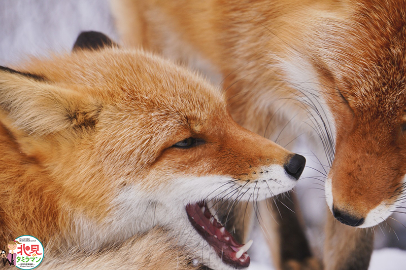 生き物部門入選作品