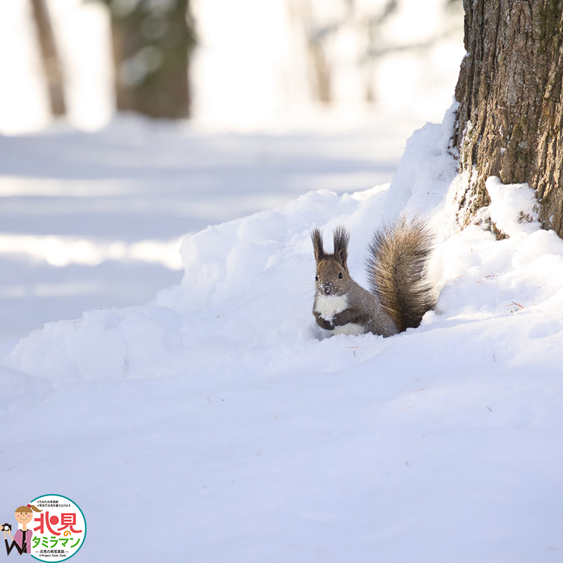 生き物部門入選作品