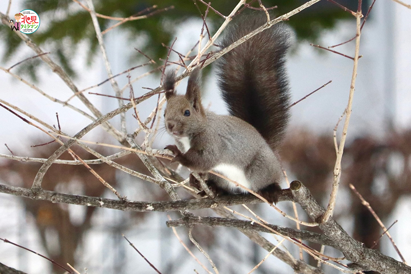生き物部門入選作品
