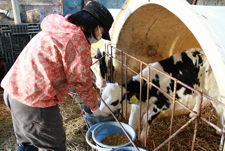 北見市常呂自治区酪農風景２