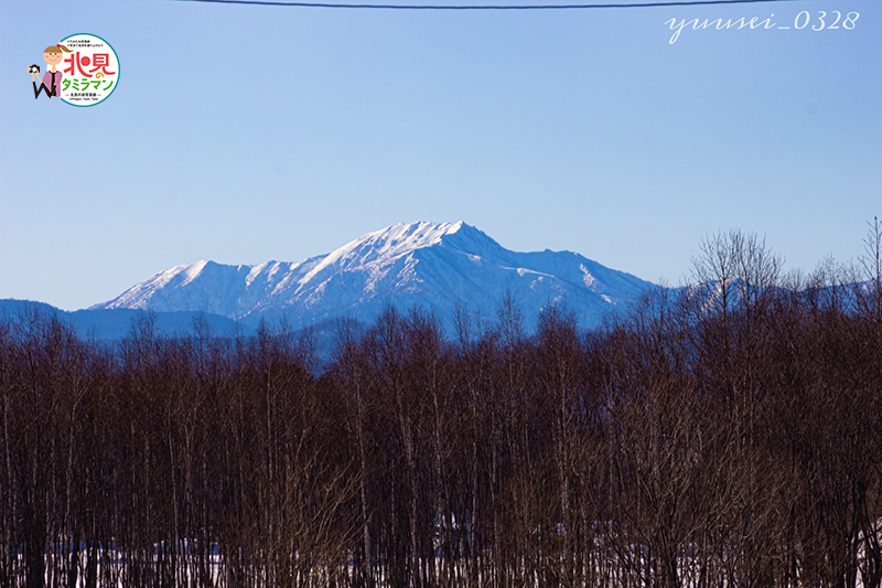 景観部門入選作品