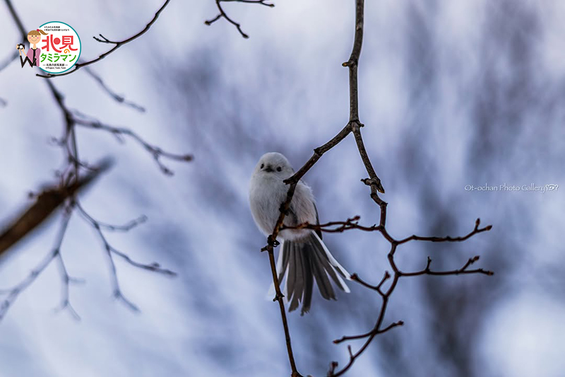 生き物部門入選作品