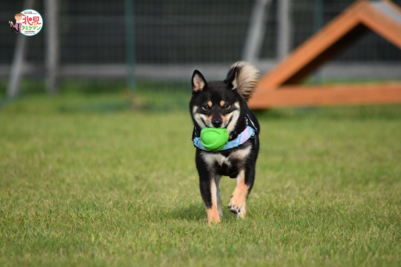 生き物部門入選作品